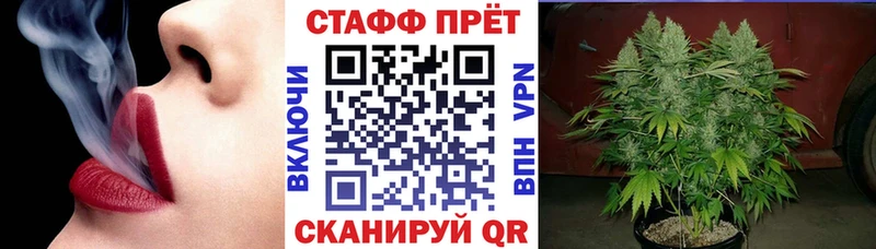 Где купить наркотики Касли Галлюциногенные грибы  A PVP  Меф  Марихуана  АМФЕТАМИН 