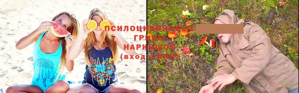 крисы Абаза