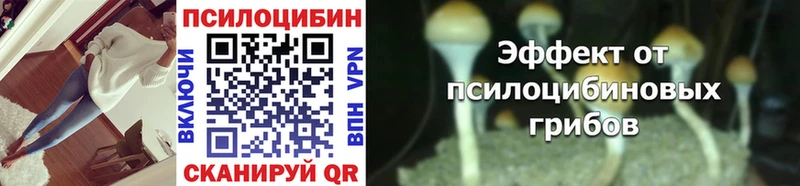 Галлюциногенные грибы Psilocybe  Касли 